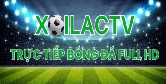 Xoilac TV – Cập nhật tin tức bóng đá mới nhất 24/7, xem trực tiếp mọi giải đấu