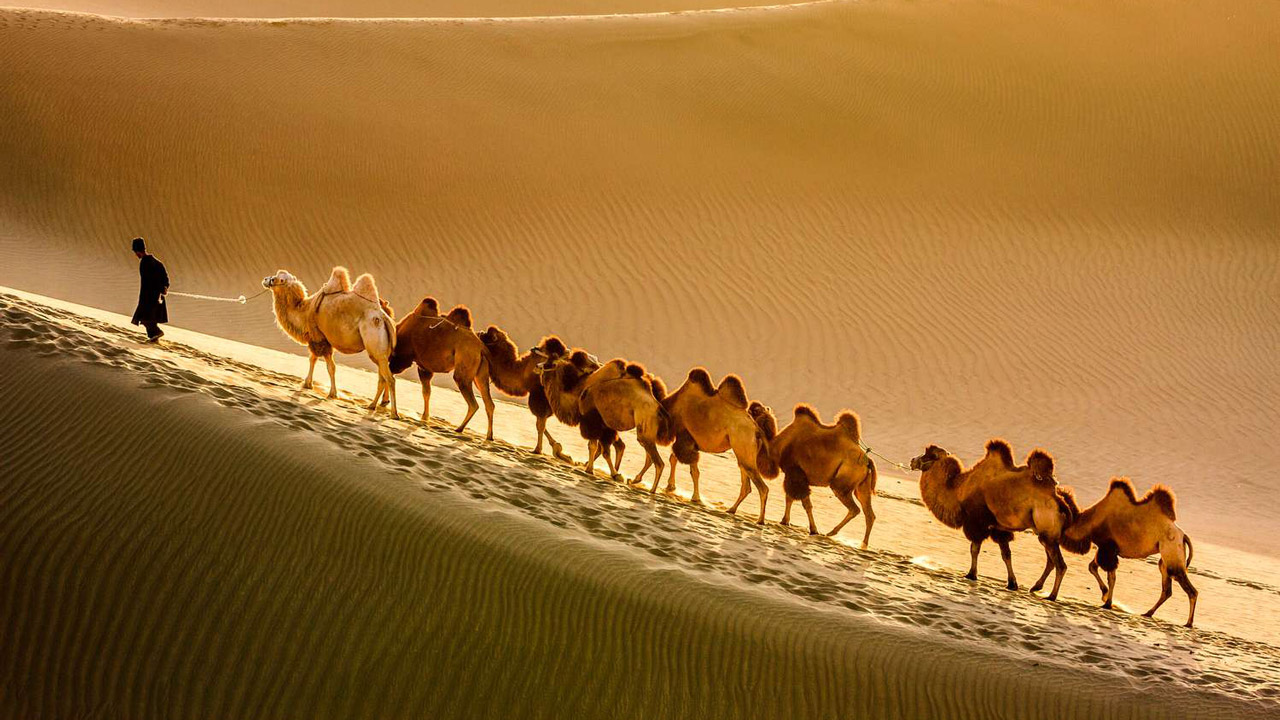 du-lich-trung-quoc-nen-di-dau-top-dia-diem-dep-noi-tieng-khong-the-bo-lo-20267